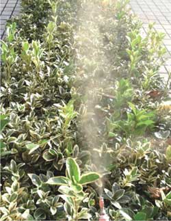 旋流喷嘴喷雾现场图