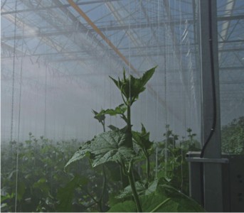 蔬菜大棚加湿